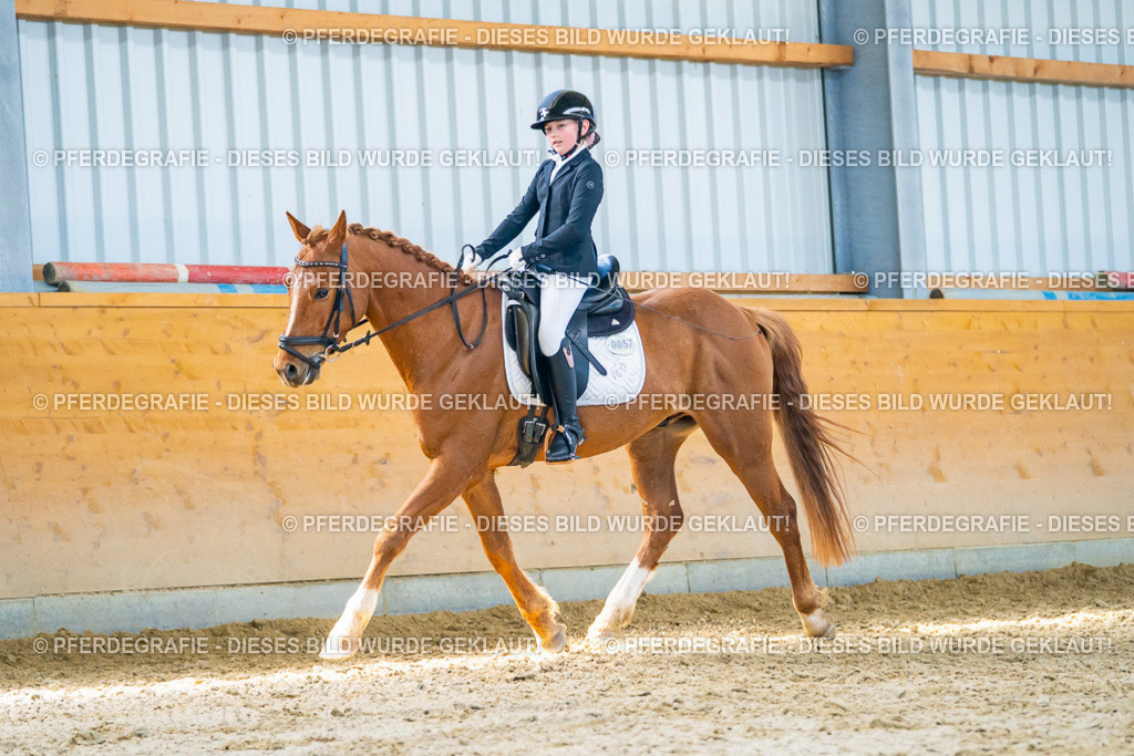 DSC08402 | Pferdegrafie