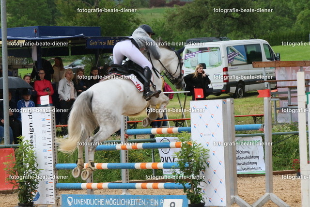 OHT2601 | Fotografie, Tiere, Hunde, Katzen, Pferde, Sportfotografie, Fotosession, Tierfotografie, Turnierfotografie, Fotografin, Fotograf - Realisiert mit Pictrs.com