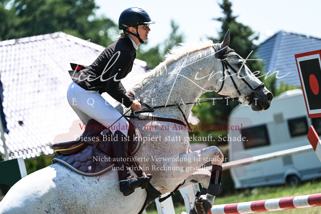 DSC_0256 | Pferde- und Turnierfotografie in Westsachsen. Pferdeportraits, Auftragszeichnungen und intuitive Kunst.