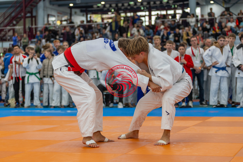 Internationaler Adler Cup 2024 | Foto vom Internationalen Adler Cup Judo Turnier im Sport- und Freizeitzentrum Kalbach im Oktober 2024 - Realisiert mit Pictrs.com