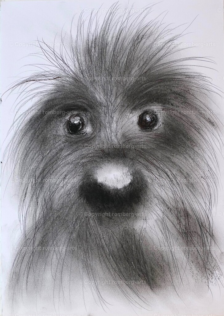 L1020675 | romberg-arts, romberg-arts.de, www.romberg-arts.de, Foto_Online_Shop, Julia Fuhrmann, Köln, Fotos, Fotografie, Fotokunst, Kunstdrucke, Naturfotos, Aktfotos, Nacktfotos, schwarz_weiß_Fotos, Blumenfotos, Blumen, Tiere, Beton, Korrosion, Lächeln, Drucke