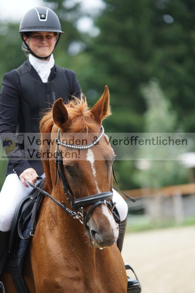 DSC06120 | equestrian-live-com