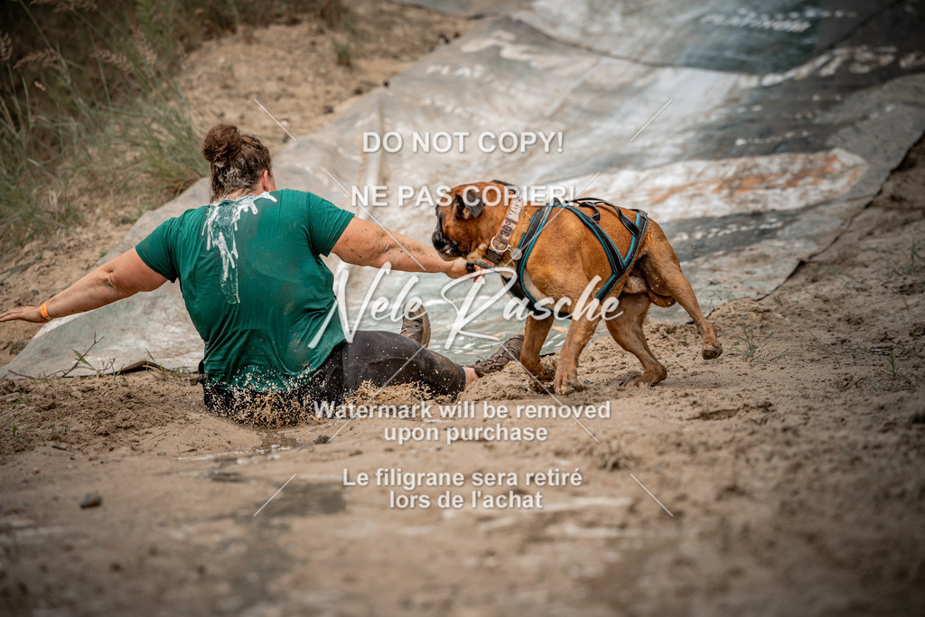 nelerasche_sa1100-1200_304 | nelerasche