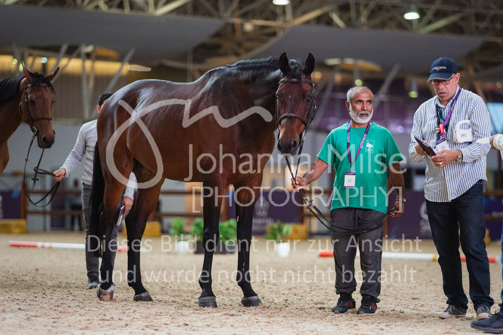 230215_Riyadh_Vet-Check-109 | Deine schönsten Turniermomente als professionelle Fotos! Entdecke hochwertige Pferdesport-Fotografie im Online-Shop. Jetzt Fotos finden & bestellen!