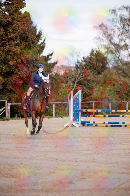 2026_10_03_Siefer-Hof_170337_Z81_00207159 | Professionelle Reitsport-, Turnier- und Eventfotografie von Robert Broda. Galerien mit ausgewählten und bearbeiteten Bildern direkt online ansehen und bestellen.