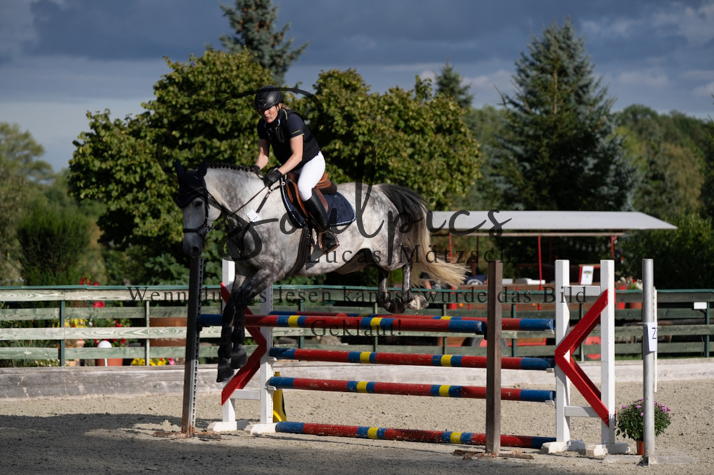 A7V07838 | Pferdefotograf