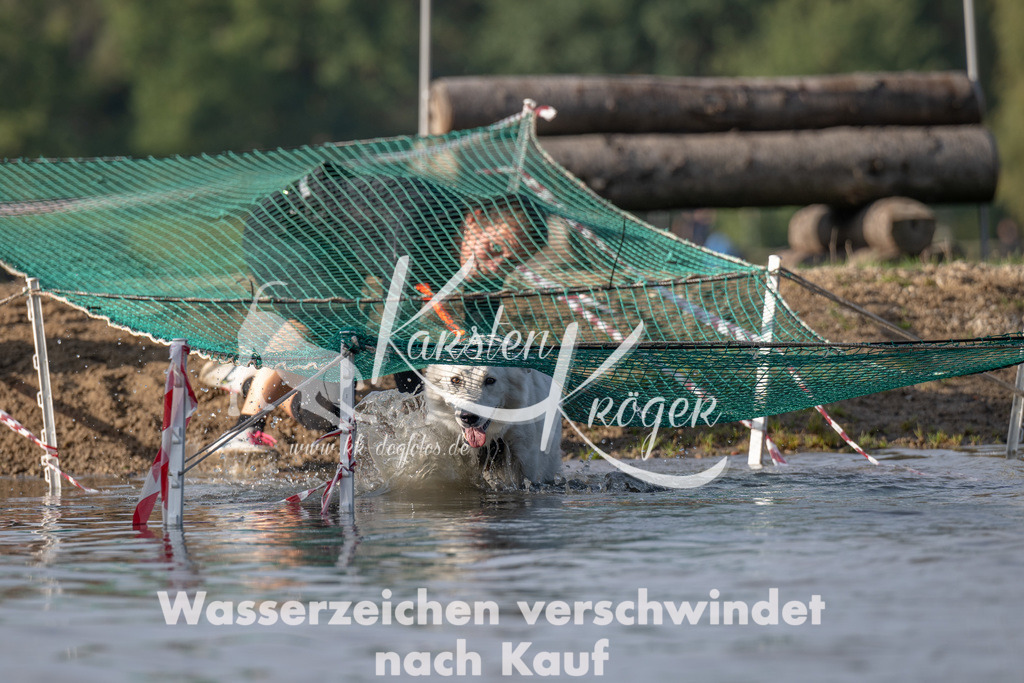 1031_ZZ93719 | kk-dogfotos