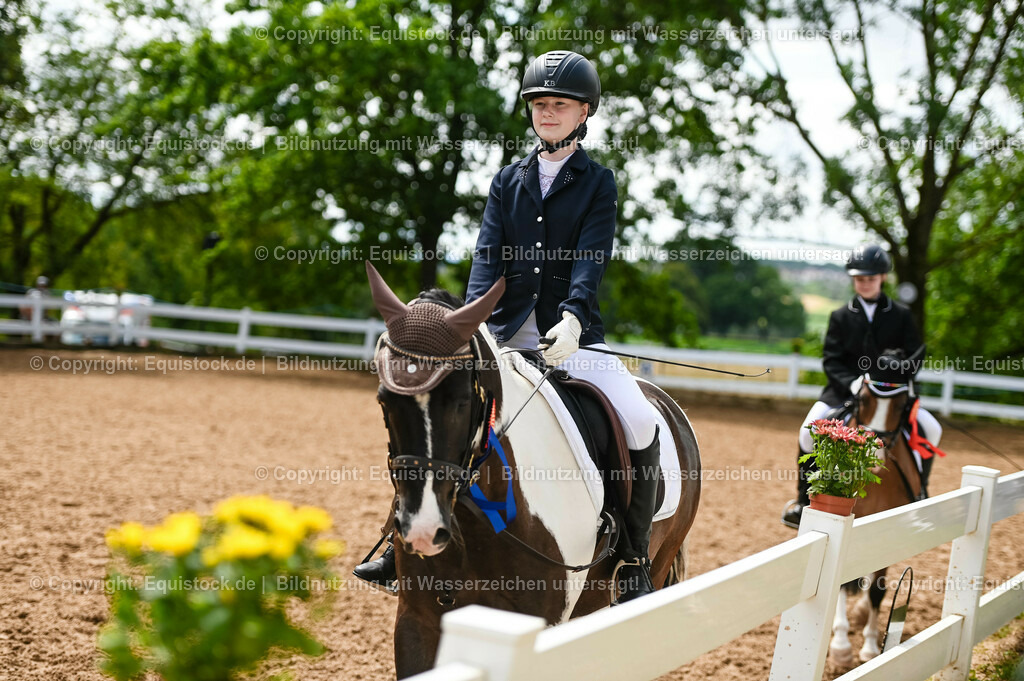 20230716_10-2_Reiter-WB Schritt - Trab - Galopp_0222 | equistock