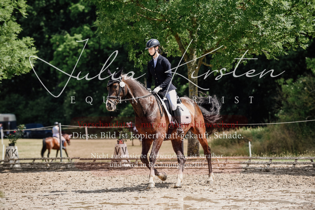 DSC_0854 | Pferde- und Turnierfotografie in Westsachsen. Pferdeportraits, Auftragszeichnungen und intuitive Kunst.