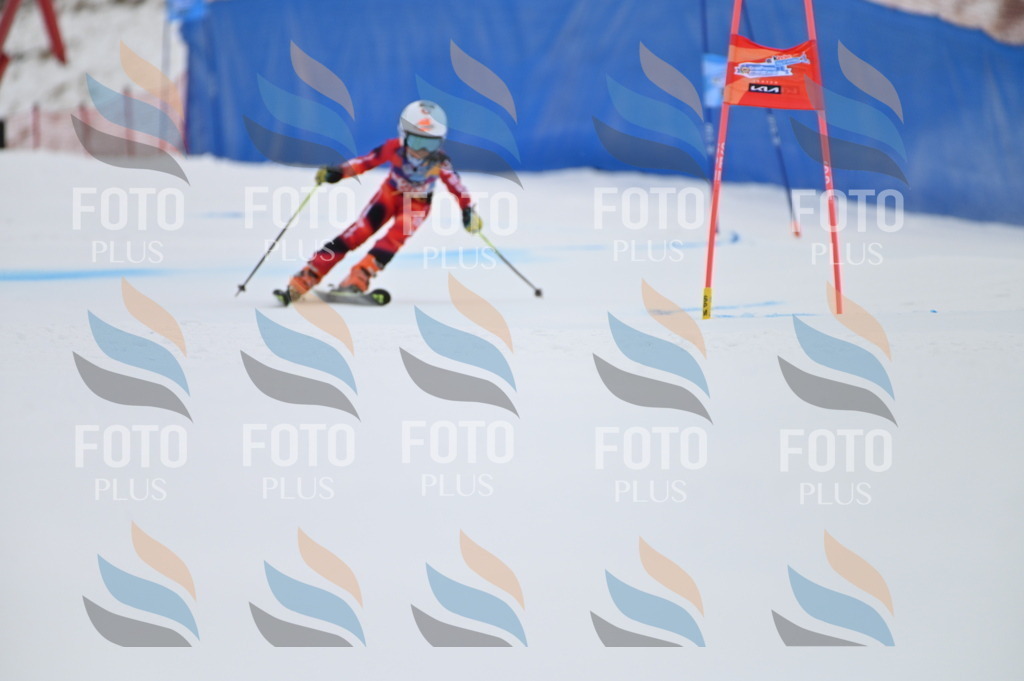 BGV_2004 | holidayphoto