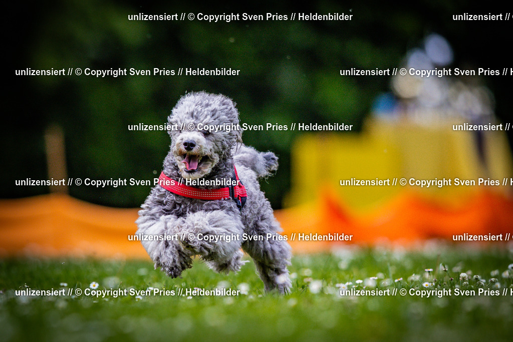 Sven Pries | 2025-05-29 - Pudelrennen KA-Durlach - Realisiert mit Pictrs.com