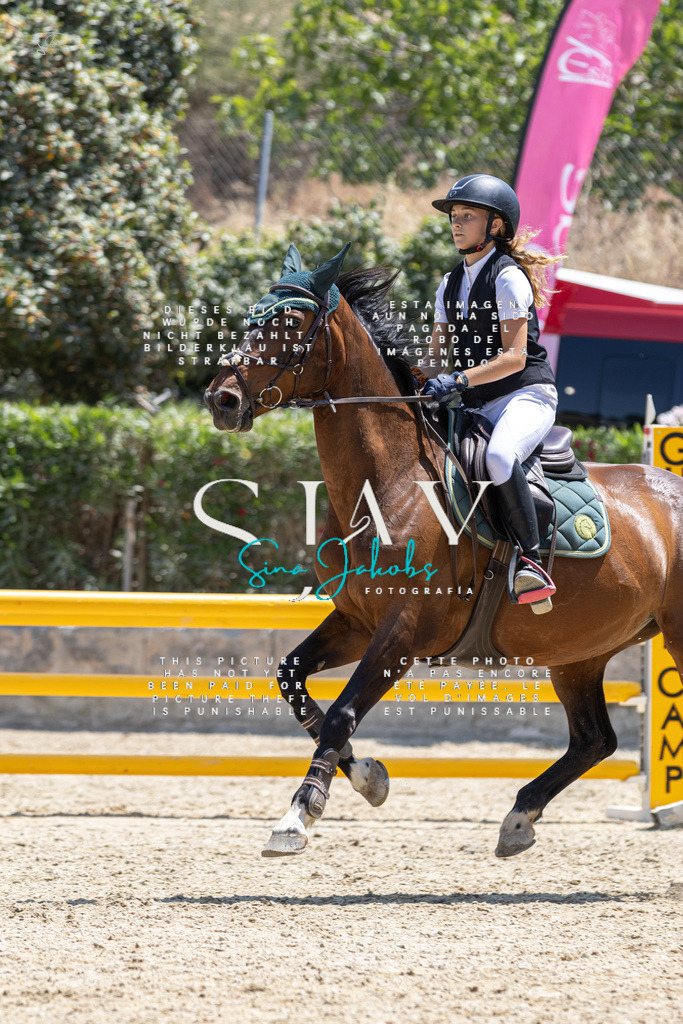 IMG_6308 | s-jay-photography - Realisiert mit Pictrs.com