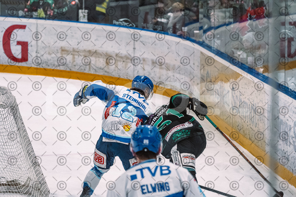 Alligators_vs_Riessersee_03_02_2026-21 | Höchstadt Alligators Fotogalerie: Eishockey-Action aus Franken. Professionelle Spielfotos, Portraits & Stadionbilder zum Download. Jetzt entdecken! - Realisiert mit Pictrs.com