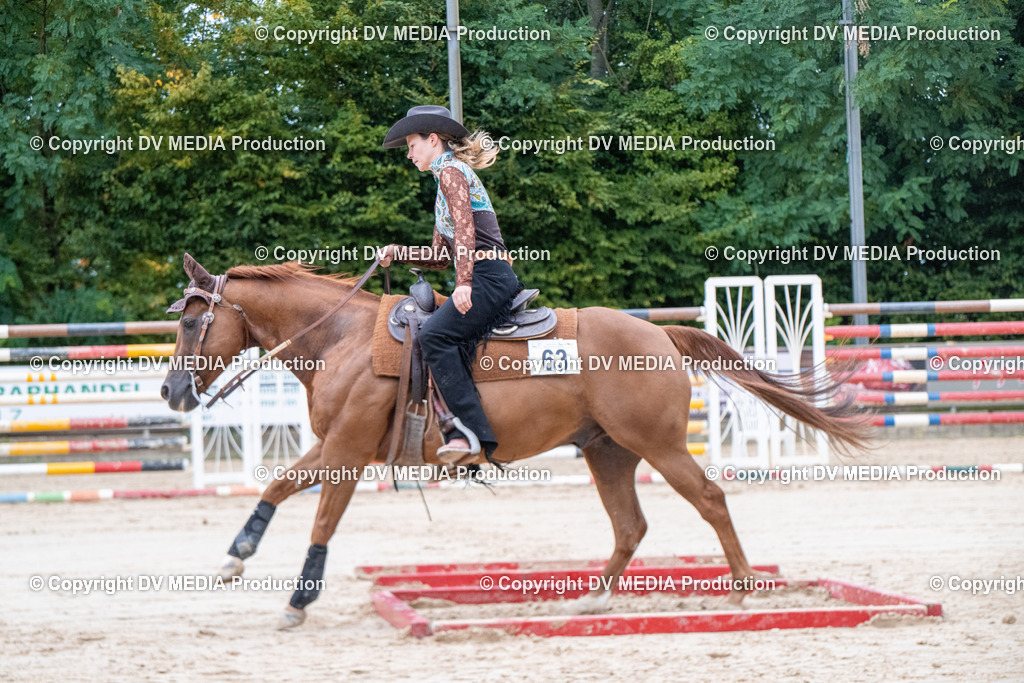 ZS3_5596 | dv-media-shop - Realisiert mit Pictrs.com