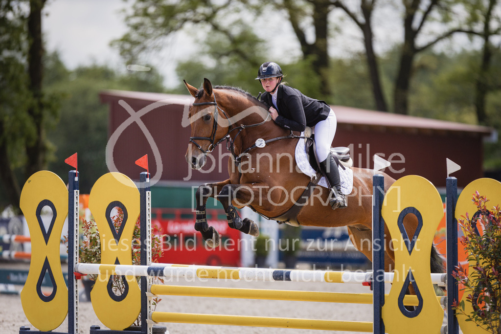 230516_Mühlen_03SprPf-A-424 | Deine schönsten Turniermomente als professionelle Fotos! Entdecke hochwertige Pferdesport-Fotografie im Online-Shop. Jetzt Fotos finden & bestellen!