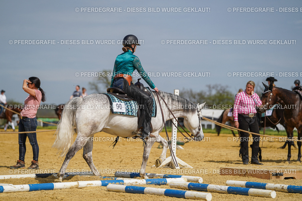 DSC04575 | Pferdegrafie