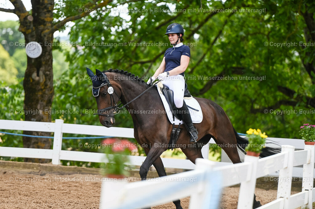20230715_05_Dressurprüfung Kl.A++_0213 | equistock