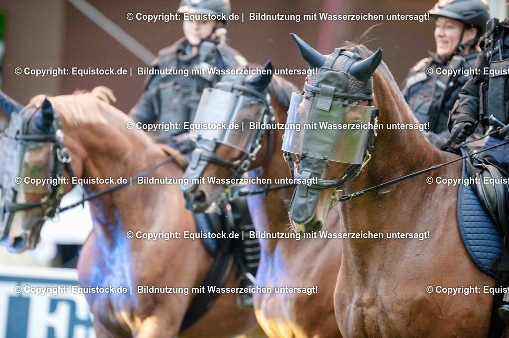 20250606_Lange-Pferdenacht_0838 | Foto: Thomas Hartig