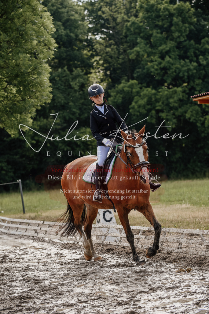 DSC_9123 | Pferde- und Turnierfotografie in Westsachsen. Pferdeportraits, Auftragszeichnungen und intuitive Kunst.