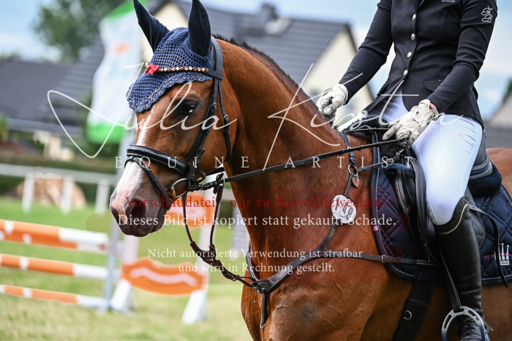 DSC_8331 | Pferde- und Turnierfotografie in Westsachsen. Pferdeportraits, Auftragszeichnungen und intuitive Kunst.