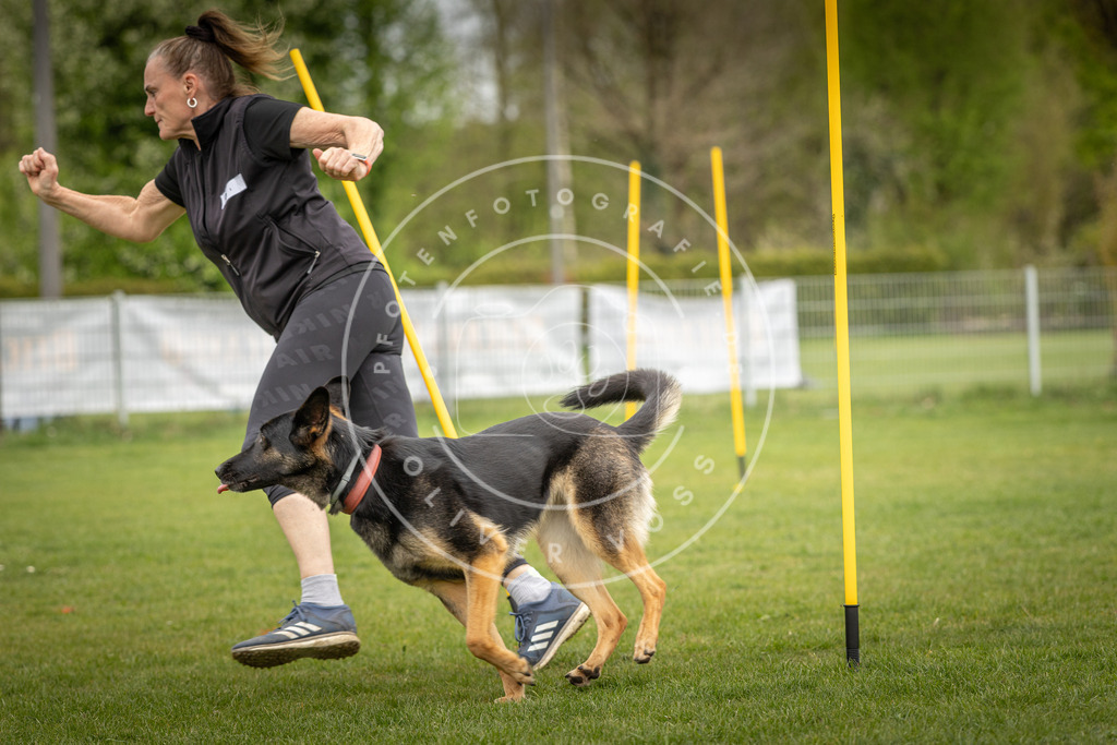 Pfotenfotografie_DV3A7510 | Hundefotografie, Tierfotograf, Pfotenfotografie, Fotoshooting Hund, Hunde Portrait, Hundesport, Hundeportraits, Heideshooting, Hunde, Sportfotograf, Hundefotograf, Turnierhundsport, THS,  - Realisiert mit Pictrs.com