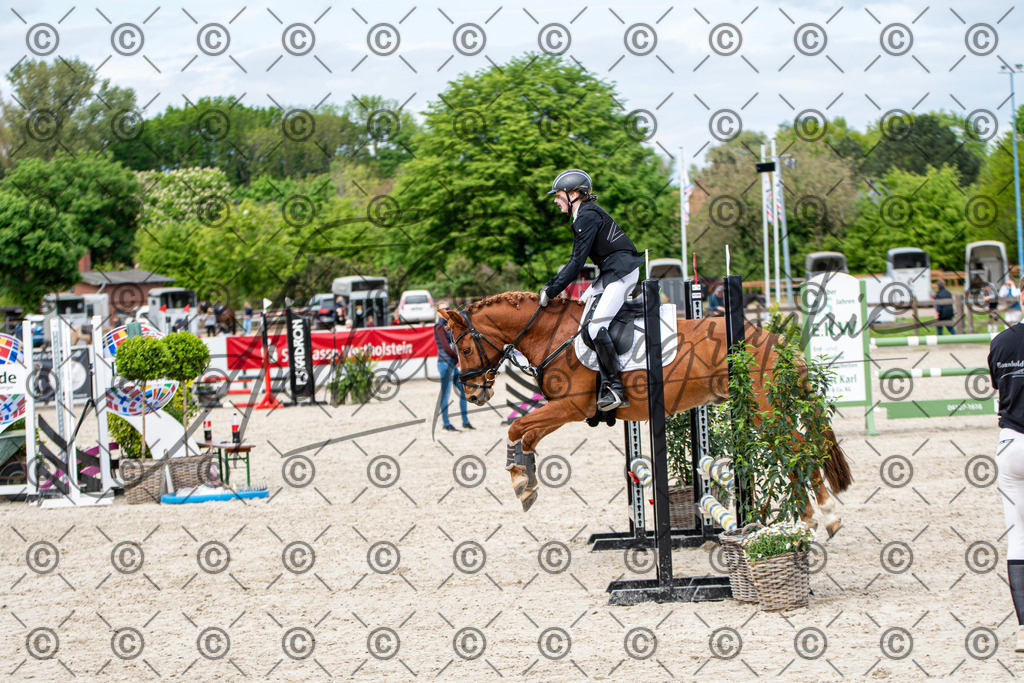 KPT_5980 | andre_photographic