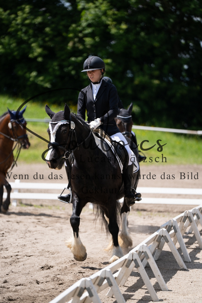 A7V02947 | Pferdefotograf