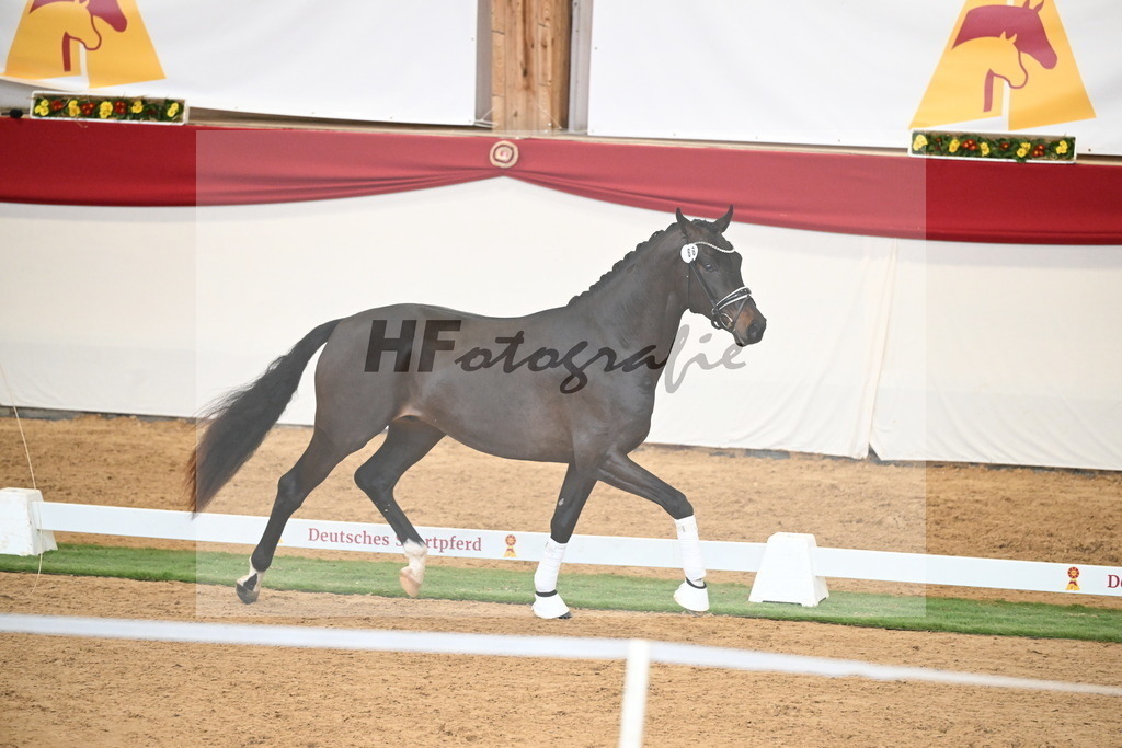 Kat.-Nr. 66 v. Fürstenball_Höchsmann_2250479 | hf-fotografie - Realisiert mit Pictrs.com
