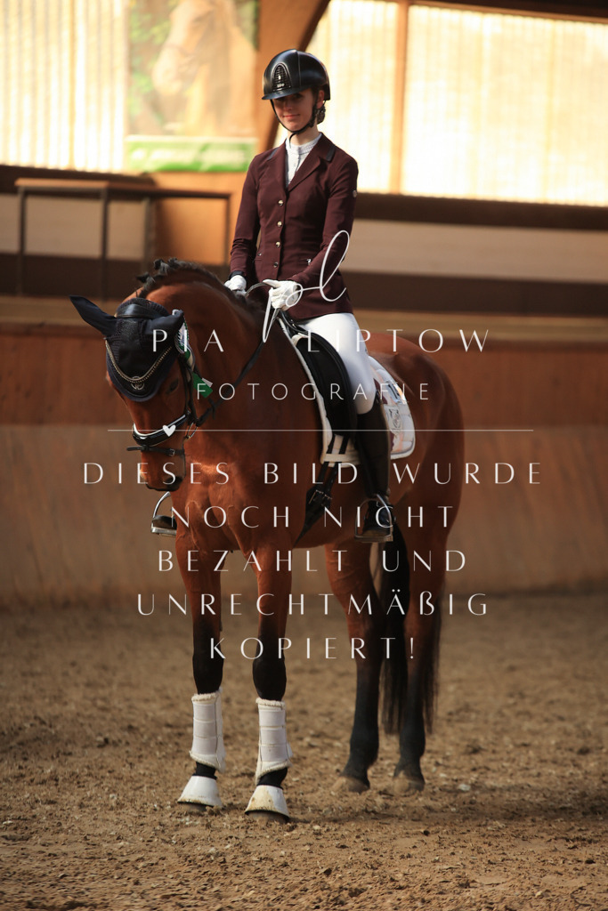 IMGT4023 | pl-fotografie