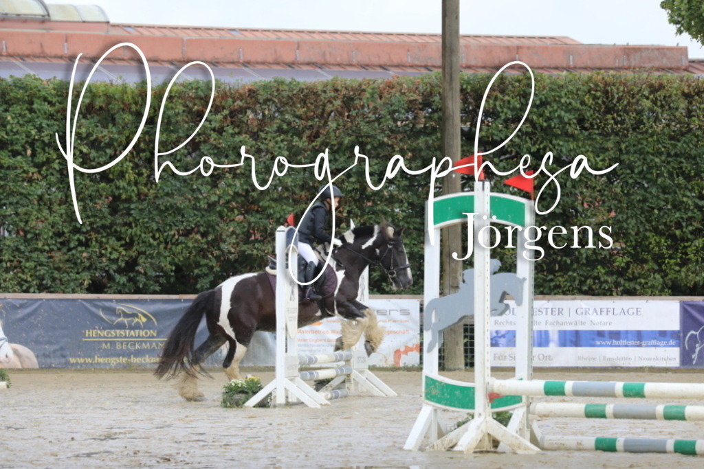 IMG_2015 | photographesa-joergens - Realisiert mit Pictrs.com