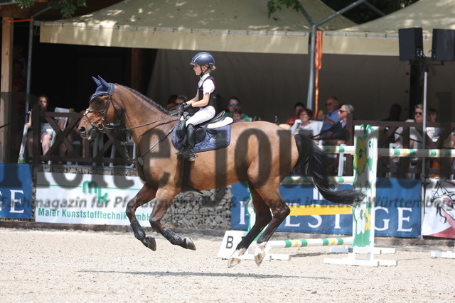 Ichenheim_2023_Prfg.Nr.27_Stilspring-WB_Victoria Hotz_Legolas (7) | Alle Fotos der Reiterjournal Fotografin Doris Matthaes im Reiterjournal Online-Fotoshop. - Realisiert mit Pictrs.com