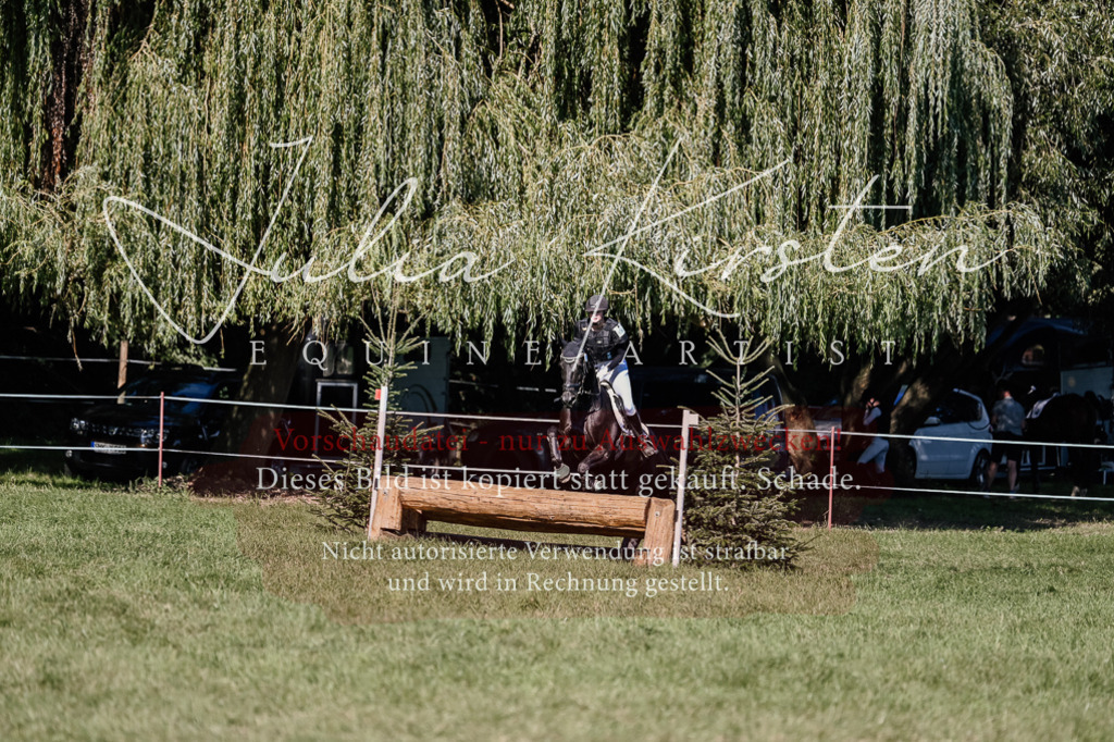 DSC_3514 | Pferde- und Turnierfotografie in Westsachsen. Pferdeportraits, Auftragszeichnungen und intuitive Kunst.