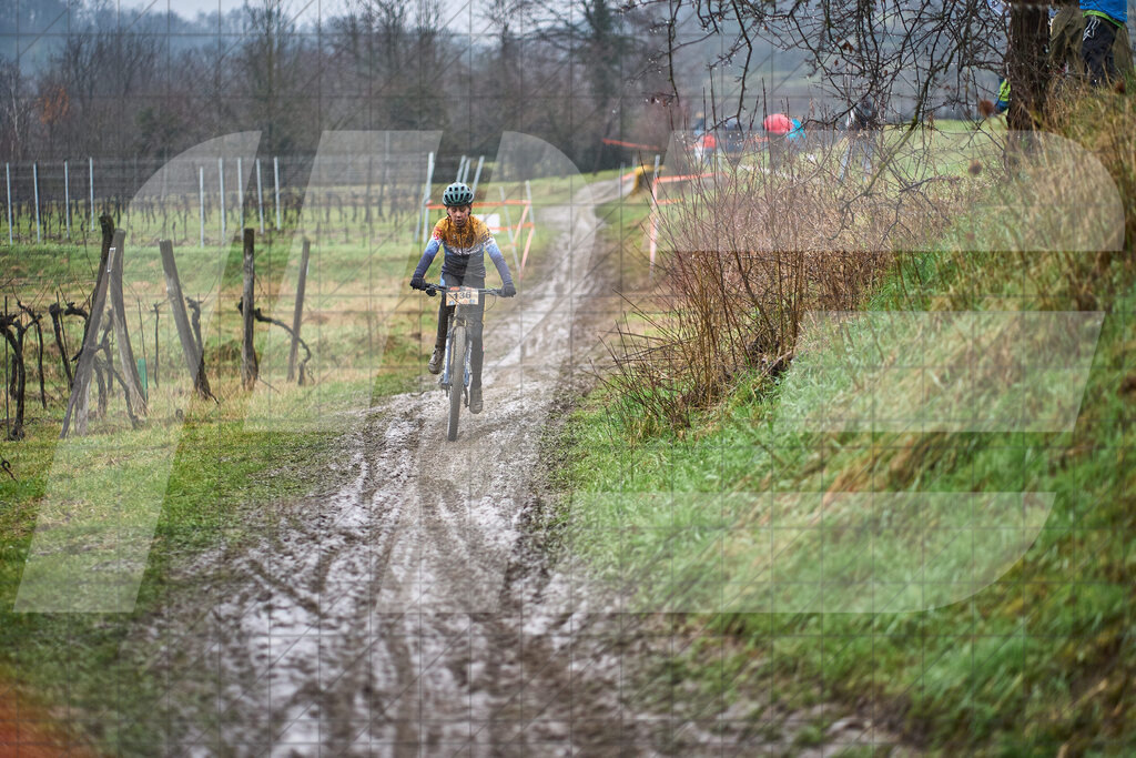 33. KTM Kamptal Trophy | 29.03.2025: 33. KTM Kamptal Trophy in Zöbing, Niederösterreich, ÖsterreichFoto: © 2025 Martin Bihounek / martinbihounek.comInsta: @martinbihounekcomFB: @martinbihounekphotography
