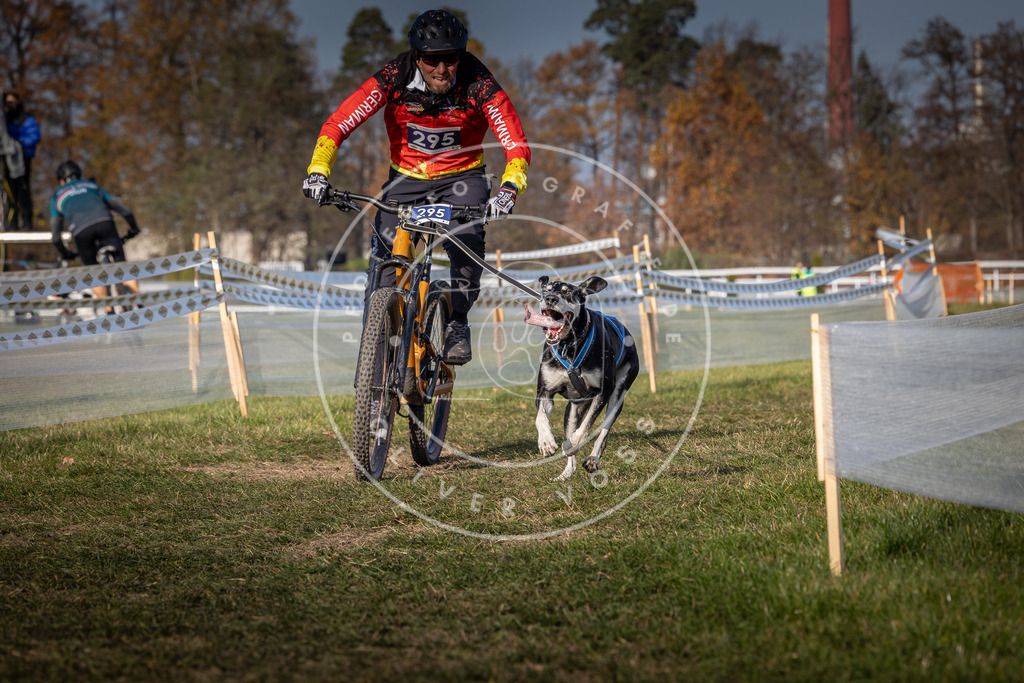 CaniXpix_0L8A7234 | Hundefotografie, Tierfotograf, Pfotenfotografie, Fotoshooting Hund, Hunde Portrait, Hundesport, Hundeportraits, Heideshooting, Hunde, Sportfotograf, Hundefotograf, Turnierhundsport, THS,  - Realisiert mit Pictrs.com