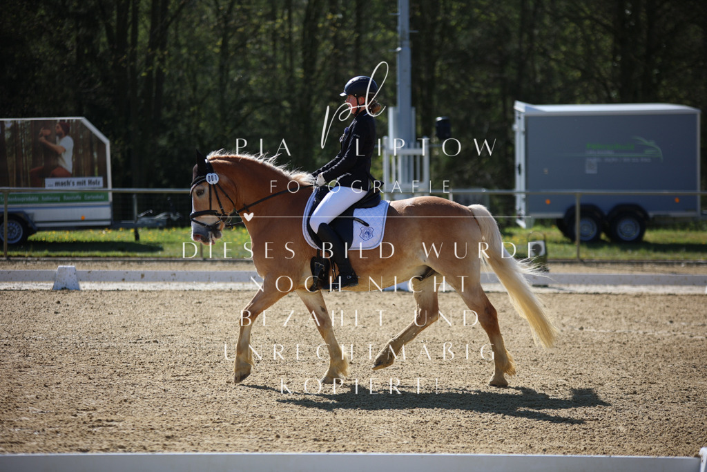 IMGT9980 | pl-fotografie