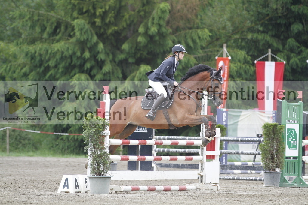 _MG_8266 | equestrian-live-com