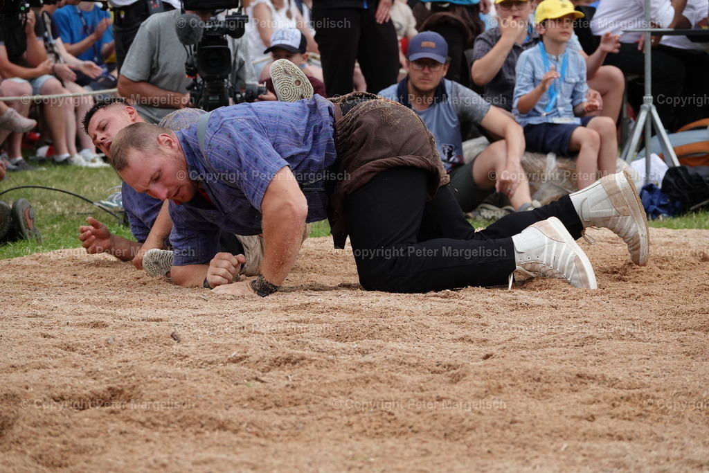 DSC01266 | Schwingen - Realisiert mit Pictrs.com