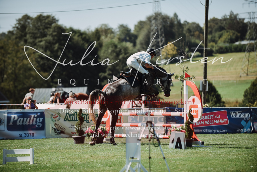 DSC_3187 | Pferde- und Turnierfotografie in Westsachsen. Pferdeportraits, Auftragszeichnungen und intuitive Kunst.