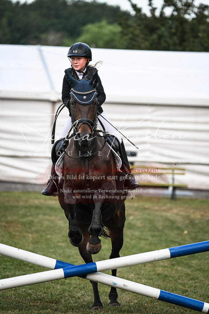 DSC_5584 | Pferde- und Turnierfotografie in Westsachsen. Pferdeportraits, Auftragszeichnungen und intuitive Kunst.