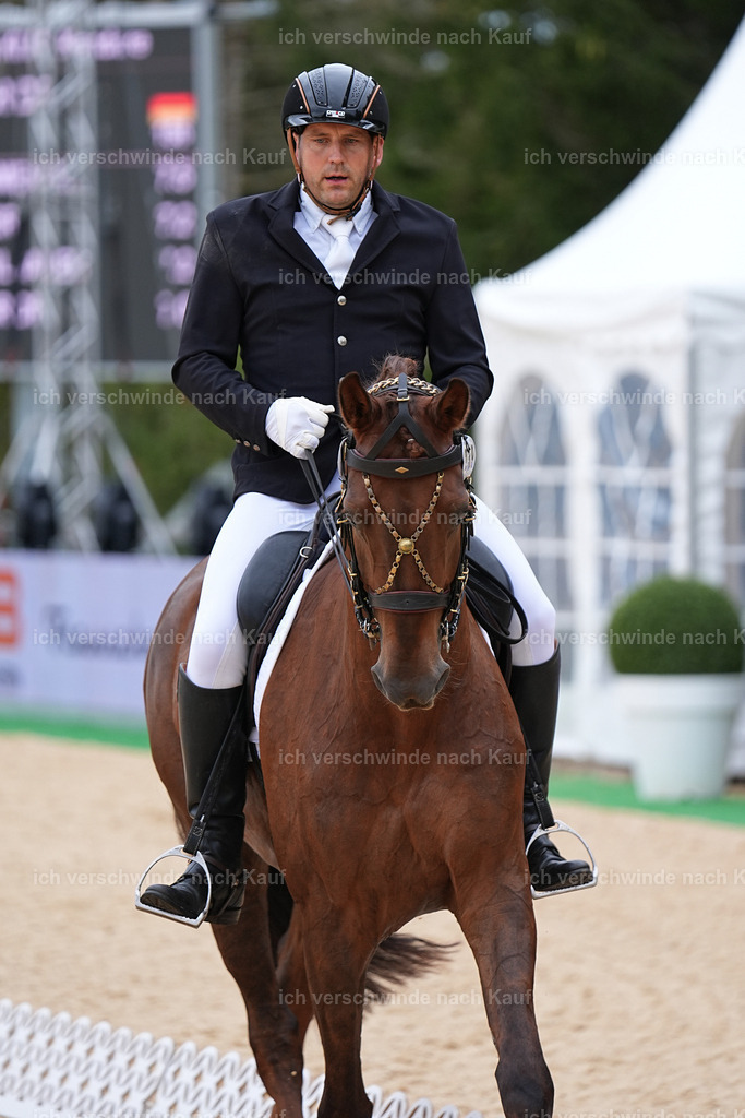 3-239-Dressur M_-Marixx-1928 | working equitationturnier fotograf videograf stoibphotography marixx film working equitation deutschland reitsport turnierfotografie eventfotografie equestrian events