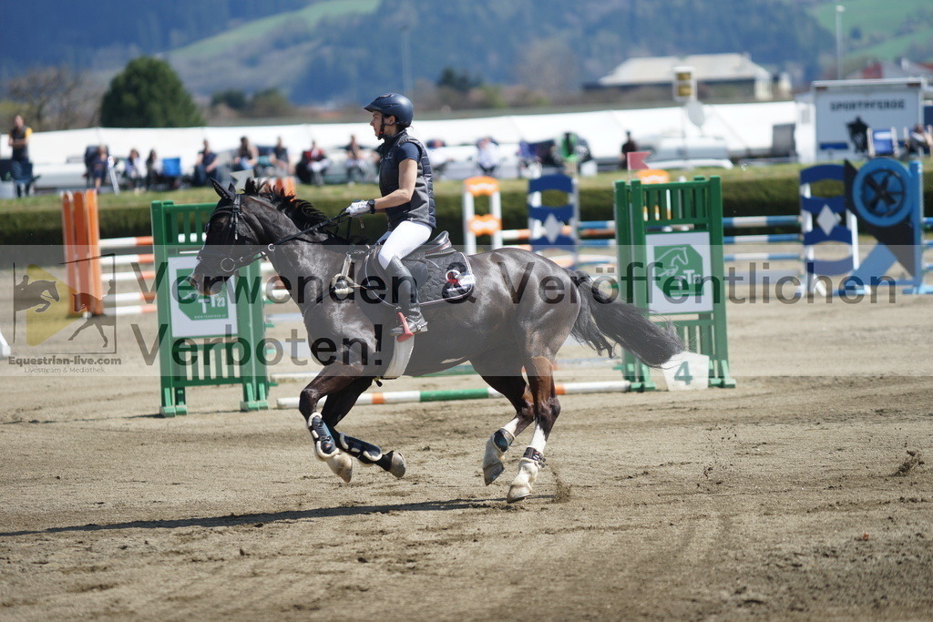 DSC02968 | equestrian-live-com