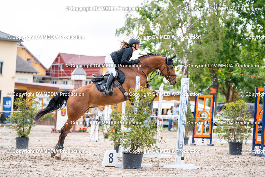 Eppelheim Tag 2-575 | dv-media-shop - Realisiert mit Pictrs.com