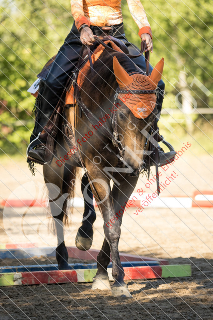 IMG_6689 | Sport-, Event- und Tierfotos in Profiqualität. Einfach auswählen, bestellen und herunterladen. Dein Moment – perfekt festgehalten.