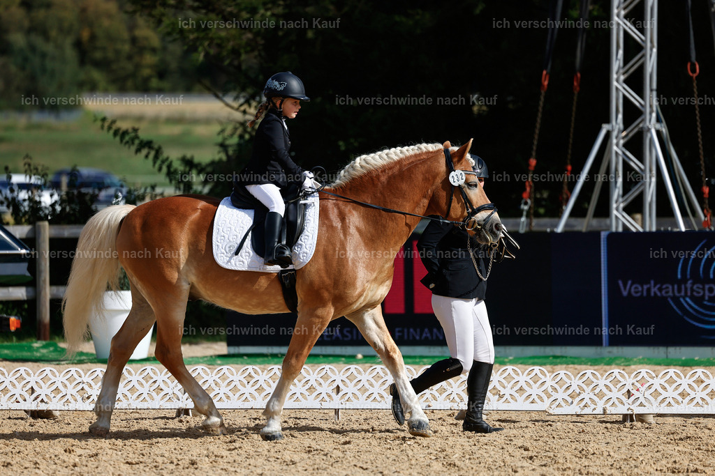 01--Ponyführzügel -StoibPH-6737 | working equitationturnier fotograf videograf stoibphotography marixx film working equitation deutschland reitsport turnierfotografie eventfotografie equestrian events