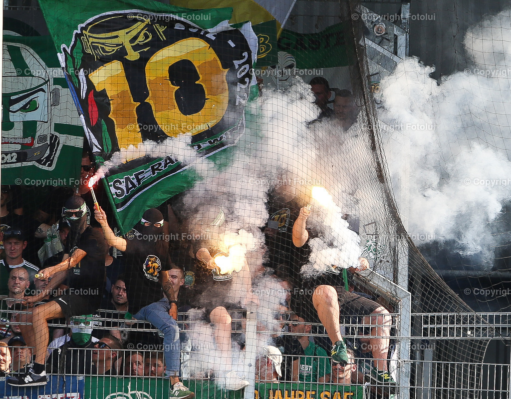 A_LUI_20220814_0018 | SPORT FUSSBALL ADMIRAL BUNDESLIGA  LASK VS RAPID

IM BILD: Rapid Fans


FOTO:FOTOLUI/UW