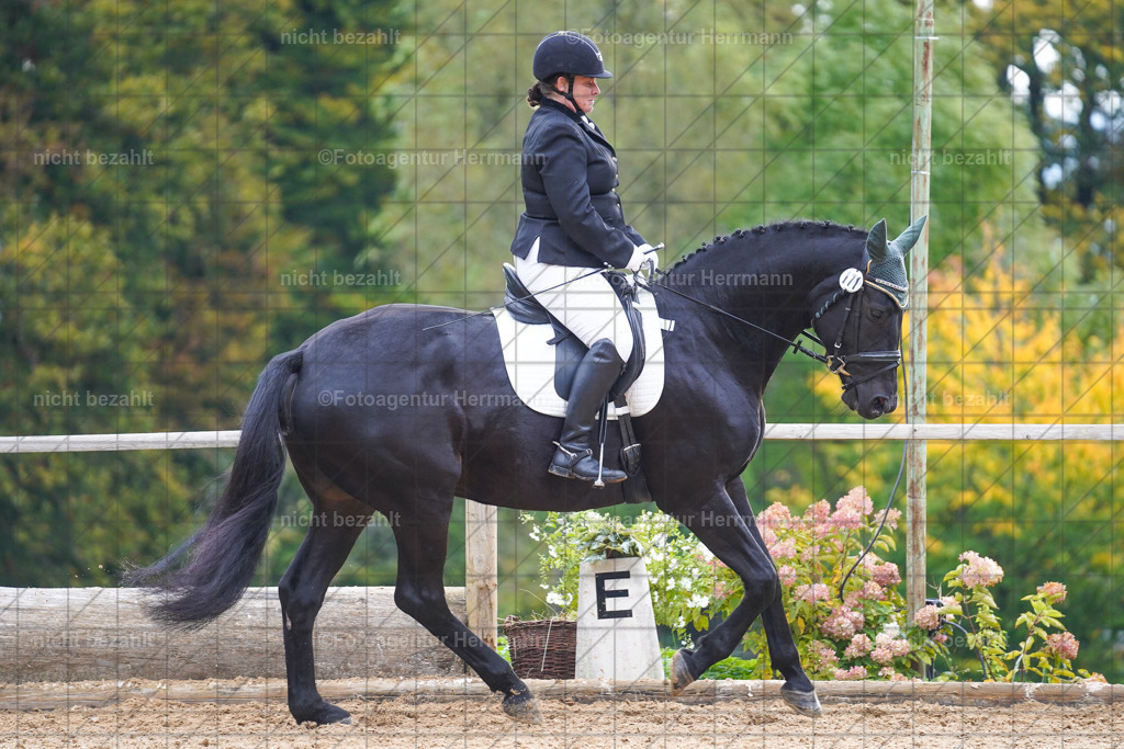 20221008-FAH00855 | Diessen am Ammersee, 2022, Dressur- und Springturnier, Reitsportbilder, Turnierfotografen Bayern, Pferdefotografen, Fotoagentur Herrmann, Turnierbilder