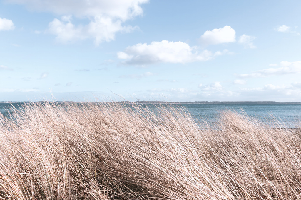 Zeitlose maritime Fotokunst – Hochwertiges Wandbild Strandhafer im Wind | Ein Blick, der die Seele atmen lässt. Dieses Wandbild fängt die klassische Schönheit der Ostseeküste in ihrer reinsten Form ein. Das goldgelbe Dünengras wiegt sich sanft im Wind, während sich dahinter das weite, blaue Meer bis zum Horizont erstreckt. Ein helles, lebendiges Motiv voller Licht und Frische, das die unbeschwerte Atmosphäre eines perfekten Strandtages direkt in Ihr Zuhause bringt. Ideal für Räume, die nach Weite und natürlicher Klarheit verlangen.