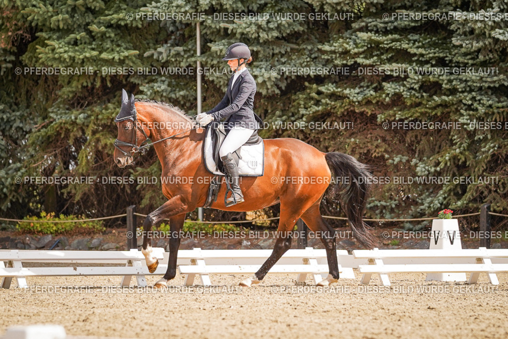 DSC01171 | Pferdegrafie