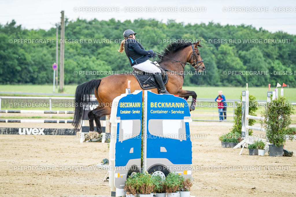 DSC03809 | Pferdegrafie