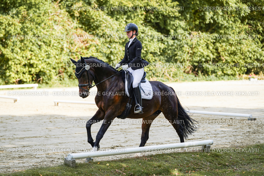 DSC08014 | Pferdegrafie